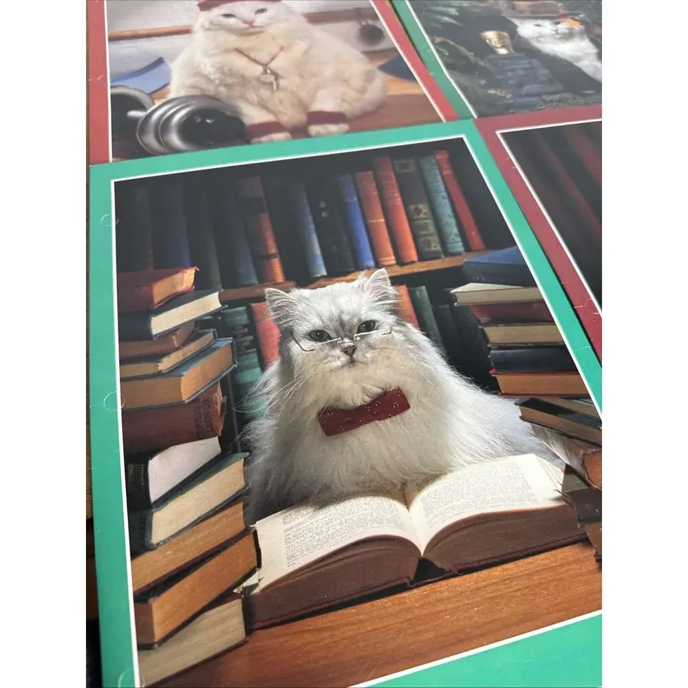 Vintage Stuart Hall Folder Lot Cats in School Unpunched Excellent Cond 1993 NOS